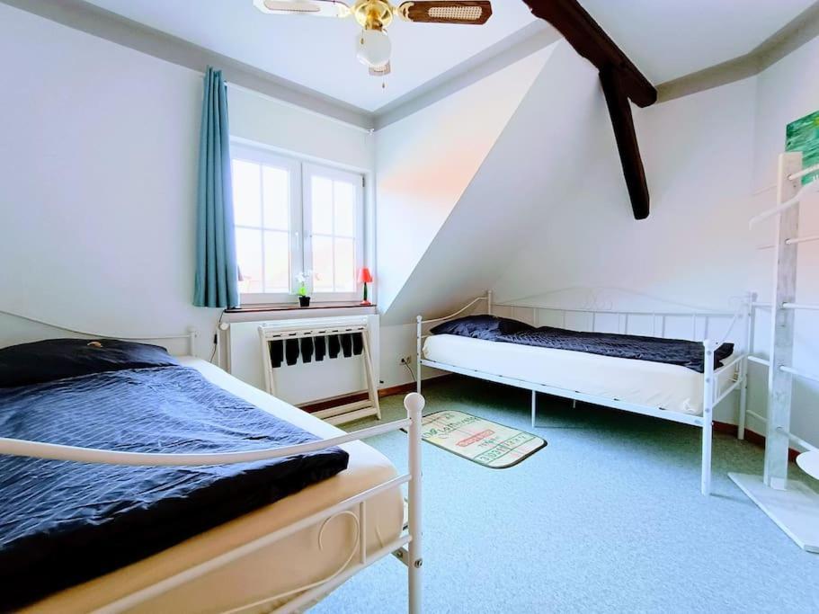 Apartamento Ruhiges Exzellenz-appartement Diana Im Elb-urstromtal - Fast Wlan, Good For Long-terms *