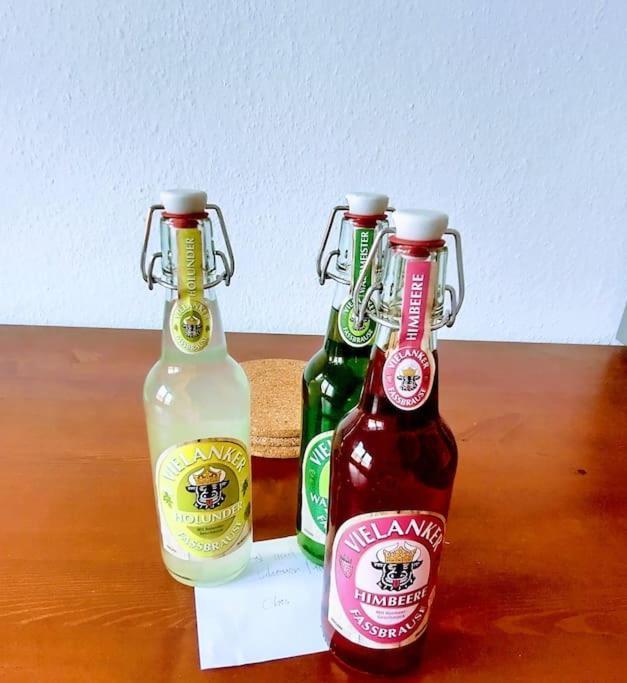 Apartment Ruhiges Exzellenz-appartement Diana Im Elb-urstromtal - Fast Wlan, Good For Long-terms Bleckede