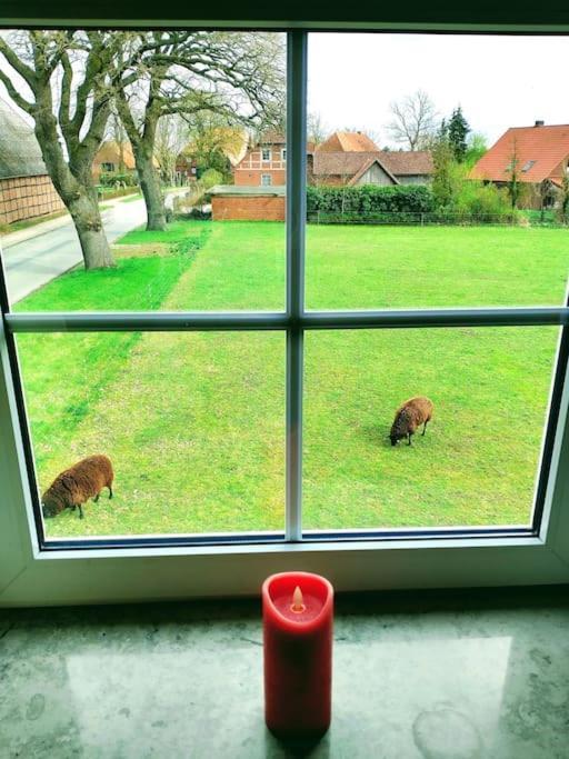 Ruhiges Exzellenz-appartement Diana Im Elb-urstromtal - Fast Wlan, Good For Long-terms Apartamento