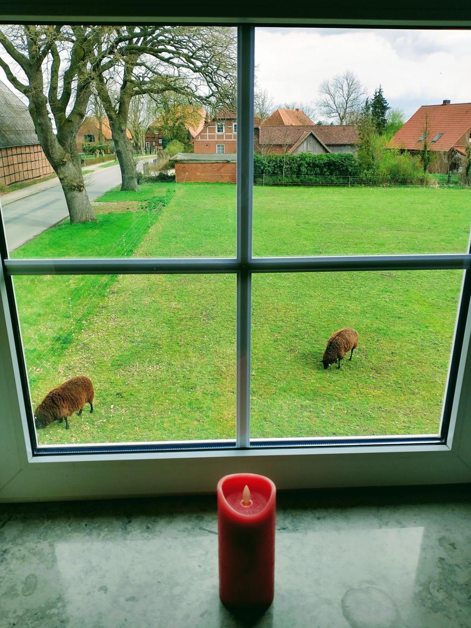 Ruhiges Exzellenz-appartement Diana Im Elb-urstromtal - Fast Wlan, Good For Long-terms